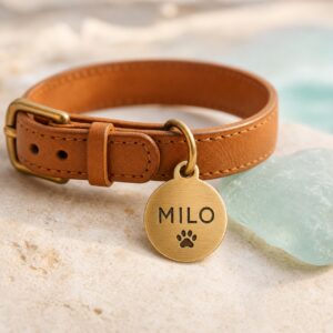 Engraved Brass Pet Tag